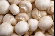 Mushroom india-Khao, Khilao and Health Banao