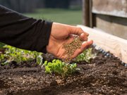 How All-Purpose Organic Fertiliser Can Improve Your Garden Naturally